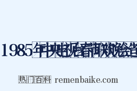 1985年中央电视台春节联欢晚会造句是什么意思的图片